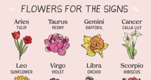 Дневен хороскоп за петок 8 март! Вагите ја наоѓаат љубовта на работното место, а тука ги чека финансиската криза