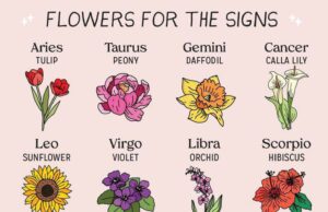 Дневен хороскоп за петок 8 март! Вагите ја наоѓаат љубовта на работното место, а тука ги чека финансиската криза