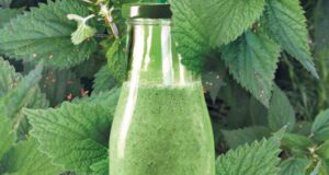 РЕЦЕПТ ЗА СИРУП ОД МЛАДИ Коприви – ЌЕ ВИ ГО ПРЕРОДИ ОРГАНИЗМОТ