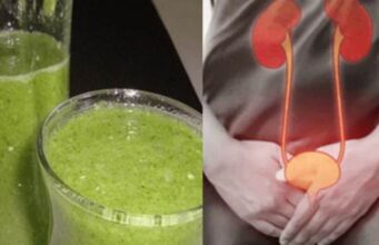 РЕЦЕПТ НА БИЛКАР: Народен лек кој ги ЛЕКУВА СИТЕ ИНФЕКЦИИ на бубрезите и уринарниот тракт