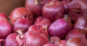 Пет видови на храна богата со флавоноиди кои треба често да ги јадеме