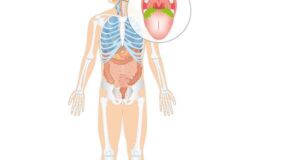 Ако треба: Седум делови од телото без кои можете да живеете