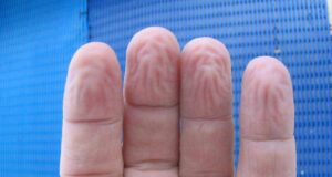 Повеќето луѓе не ја знаат вистинската причина зошто нашите прсти толку многу се збрчкаат кога се долго време во вода