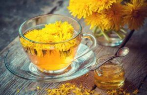 Глуварчето е богато со…