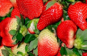 Објавена листа на овошје и зеленчук со најмногу пестициди во САД