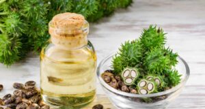 За што е добро рицинусово масло: не е само за коса