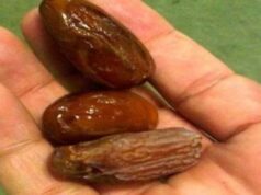 12 ДЕНА ЈАДЕЛА ПО ТРИ УРМИ НА ДЕН: Кога ќе видите што и се случило, ВЕДНАШ ЌЕ ПОЧНЕТЕ!