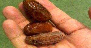 12 ДЕНА ЈАДЕЛА ПО ТРИ УРМИ НА ДЕН: Кога ќе видите што и се случило, ВЕДНАШ ЌЕ ПОЧНЕТЕ!