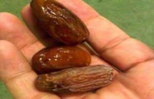 12 ДЕНА ЈАДЕЛА ПО ТРИ УРМИ НА ДЕН: Кога ќе видите што и се случило, ВЕДНАШ ЌЕ ПОЧНЕТЕ!