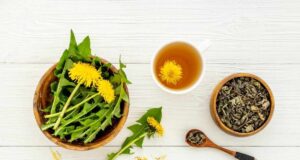 Глуварчето прави чуда за телото! Го има во шума и во парк, а незнаете колку е корисно