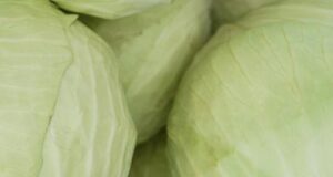 Заборавете на авокадото, маслиновото масло или боровинките. Ова е новата суперхрана на годината