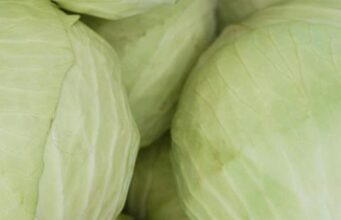 Заборавете на авокадото, маслиновото масло или боровинките. Ова е новата суперхрана на годината