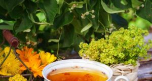 Неговото време дојде! Овој благ чај помага при оштетен црн дроб и жолчка, ја прочистува крвта, решава стомачни проблеми