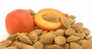 Семки од кајсија – лековита вредност, примена и масло од кајсија