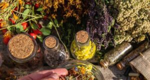 Четири видови на чај кои можат да го подобрат здравјето на цревата и да делуваат добро на црниот дроб и високиот крвен притисок