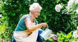 Едноставна навика може да го намали ризикот од деменција, тврди докторката