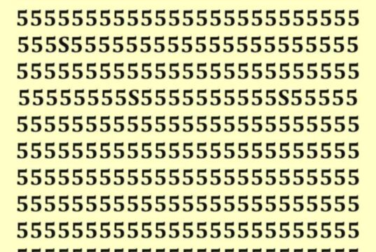 Проверете го вашиот коефициент на интелигенција: Колку S ќе најдете на оваа загатка, колку сте интелигентни