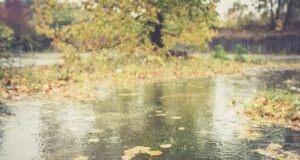 ВРЕМЕНСКА ПРОГНОЗА: Кога ќе имаме врнежи од дожд?