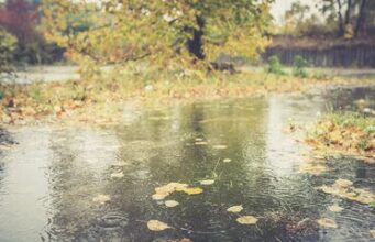 ВРЕМЕНСКА ПРОГНОЗА: Кога ќе имаме врнежи од дожд?