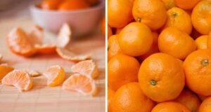 10 причини зошто е добро почесто да се јадат мандарини, а имаме и рецепт за домашен ликер