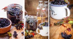 Вака се прави домашниот сок од аронија: 10 причини зошто да го консумирате секојдневно