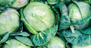 Ставила лист од зелка на нозете, како со рака да го отстрани проблемот кој многумина од нас ги мачи