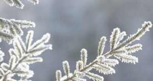 Какво време не очекува денес, утре и во наредните денови