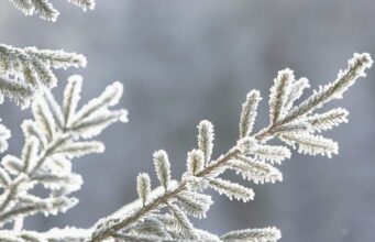 Какво време не очекува денес, утре и во наредните денови