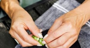 Нутриционист: Доколку сакате подобро здравје на цревата и посилен имунитет, јадете го овој зеленчук