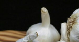 Седум видови на храна кои го зајакнуваат имунитетот и помагаат во борбата против настинката и грипот