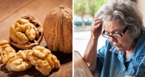 Пронајдено е тајното својство на оревите: драстично делува на една од најлошите болести