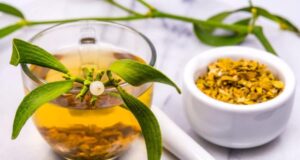 Чајот од имела може да помогне во зајакнувањето на имунитетот, но постојат одредени групи кои не треба да го пијат