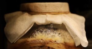 Тоа е еликсир на младоста и долговечноста: Чини само 100 дeнари и може да се најде на секој чекор