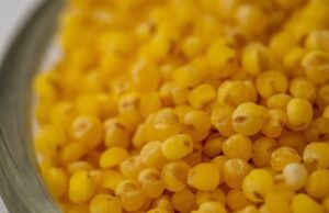 Заборавената житарка носи бројни придобивки: Не содржи глутен и е богата со витамини