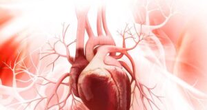 Германски хирург откри каква храна да избегнувате за здравјето на срцето и крвните садови: Ризикот е поголем по 50-тата година