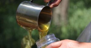 НАПРАВЕТЕ МЕДНА ВОДА Еликсир кој го зајакнува имунитетот и помага при алергии