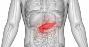 5 видови храна што го уништуваат панкреасот