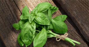 Зачини кои го подобруваат памтењето: Не се скапи, а веројатно веќе ги имате дома