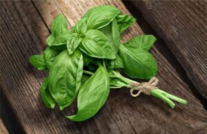 Зачини кои го подобруваат памтењето: Не се скапи, а веројатно веќе ги имате дома