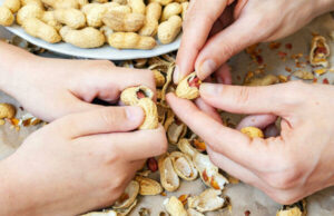 Шест причини зошто кикириките треба да бидат вклучени во исхраната, особено во зима