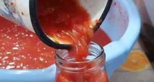 Домашни мелени домати без готвење – може да се чуваат до 2 години