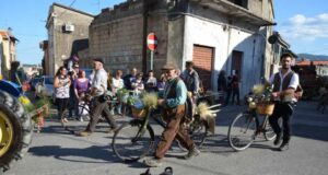 Село каде што секој десетти човек живее до сто години: Ставаат по една билка во сите оброци и го почитуваат ова правило како Бог