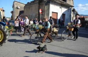 Село каде што секој десетти човек живее до сто години: Ставаат по една билка во сите оброци и го почитуваат ова правило како Бог