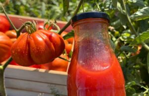 Кечап-зима по рецептот на Џејми Оливер: Повкусен од сок од домати, неспоредливо поздрав од обичен кечап