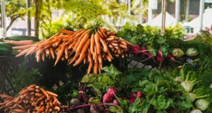 Ова е најздравиот зеленчук што можете да го јадете оваа зима: Речиси сите го игнорираат