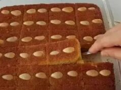 Лажна баклава без кори со мерки на чаши – Не мора секогаш да ја правите класичната, ова е прекрасна и многу полесна верзија, совршена за празнично сервирање