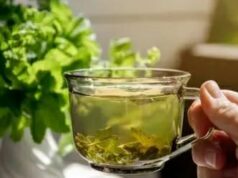 Познат билкар открива моќни билки ПРОТИВ СТРЕС и нервоза: Оваа природна комбинација од 2 состојки го опушта телото и умот, го смирува срцето и го враќа внатрешниот мир без лекови