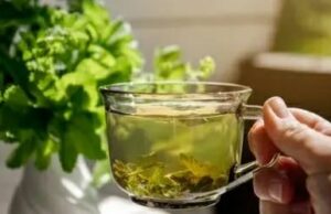 Познат билкар открива моќни билки ПРОТИВ СТРЕС и нервоза: Оваа природна комбинација од 2 состојки го опушта телото и умот, го смирува срцето и го враќа внатрешниот мир без лекови