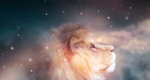 4 хороскопски знаци ќе блеснат утре: Дали сте меѓу нив?