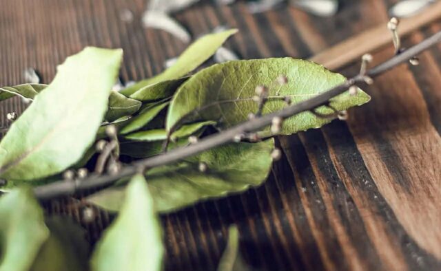 0e04f09f-3bdf-4feb-843c-60701024bae7